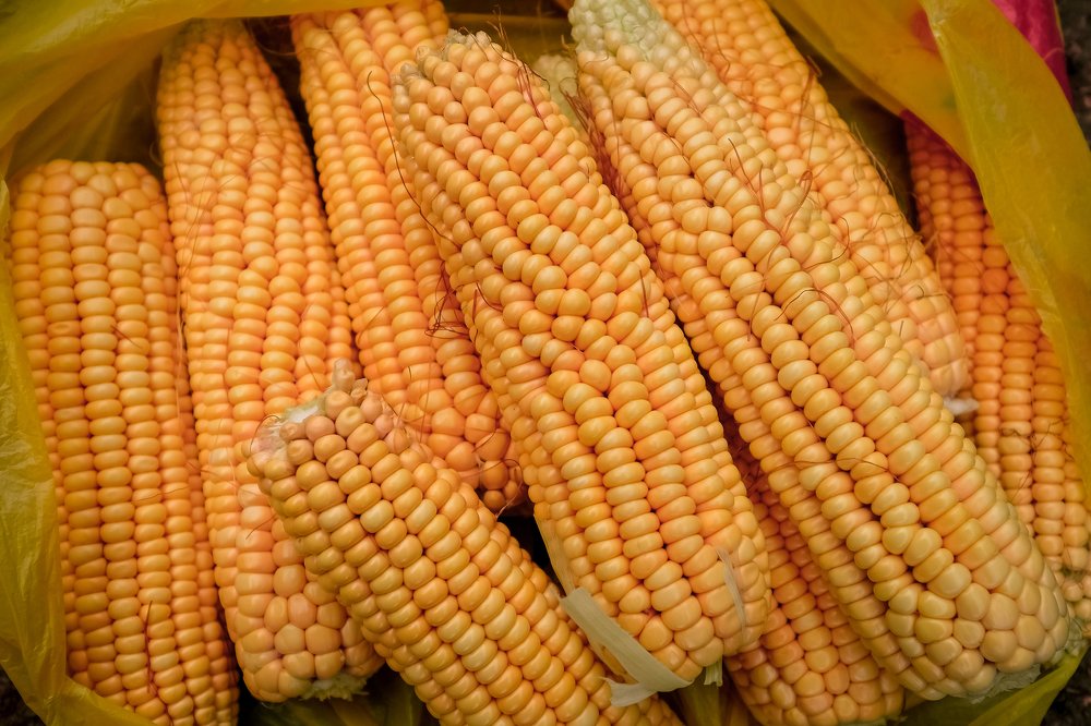 Photograph by Алексей Артышко