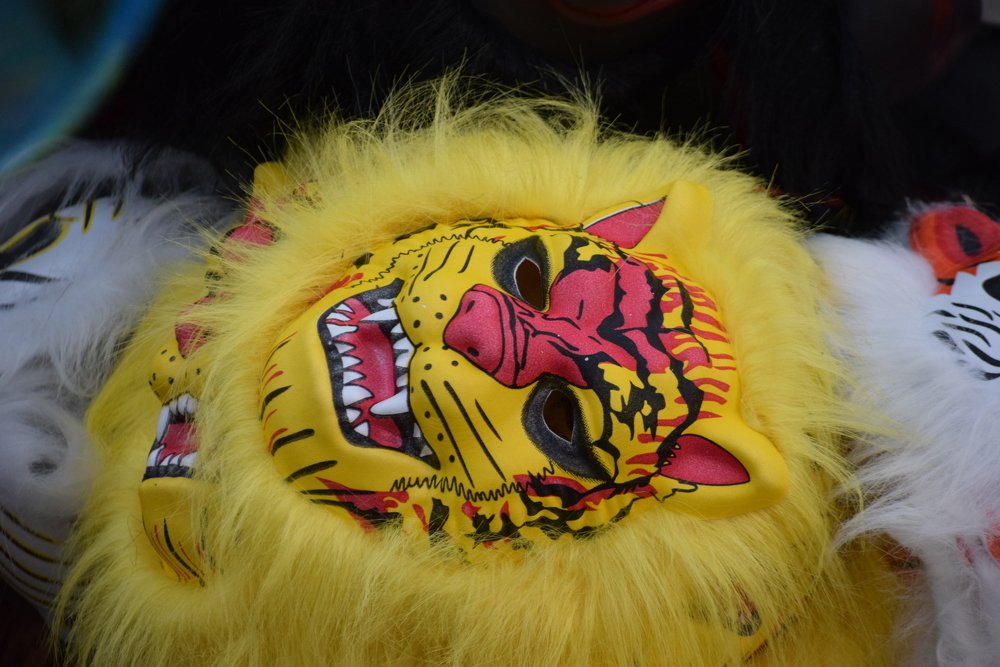 Photograph by s s subrahmanyam