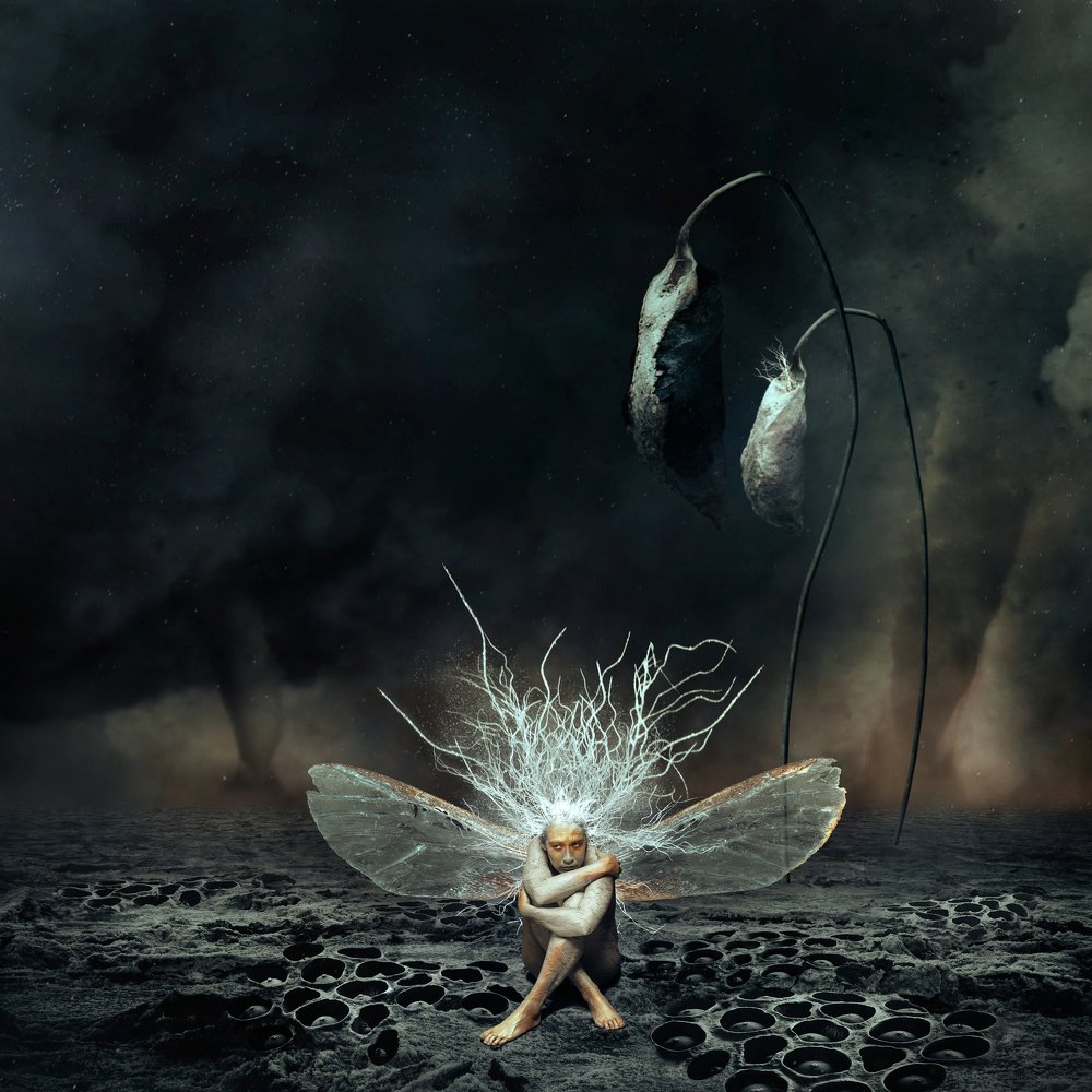 Photograph by Blazhievskaya Katarina