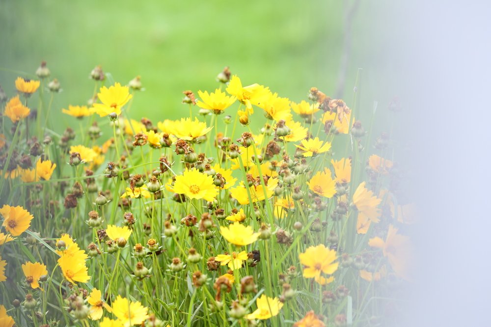 Photograph by Karthick.Selvaraj