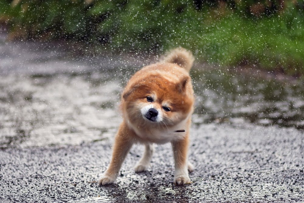 Photograph by Алена Литвин