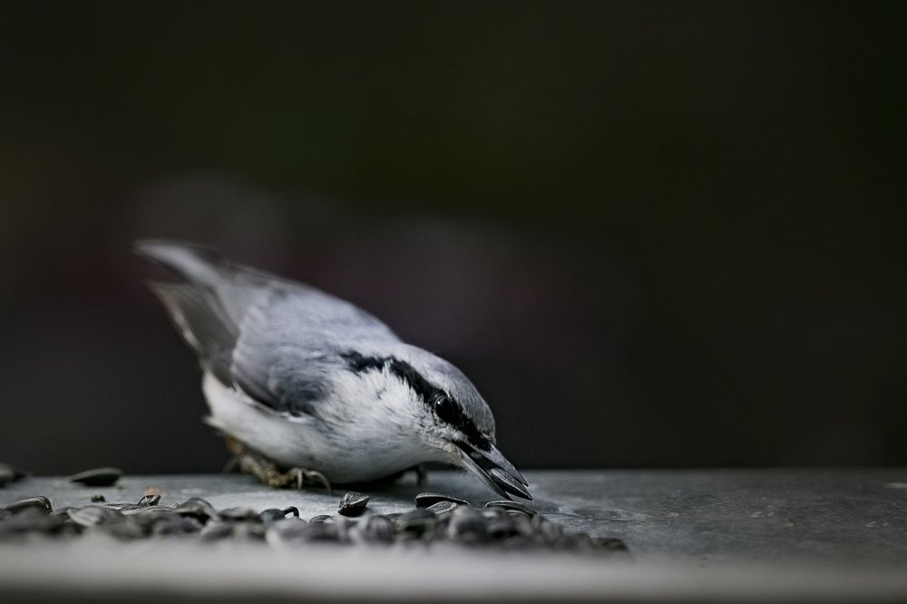 Photograph by яна