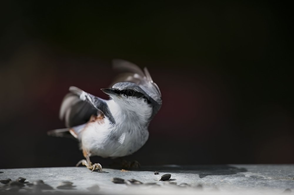 Photograph by яна