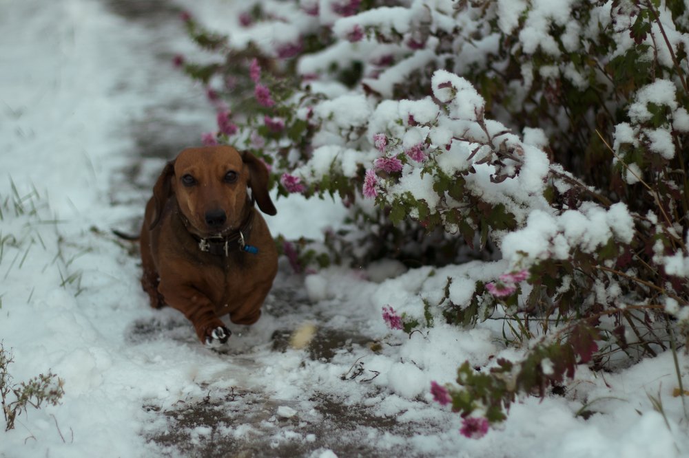 Photograph by Мария Швец