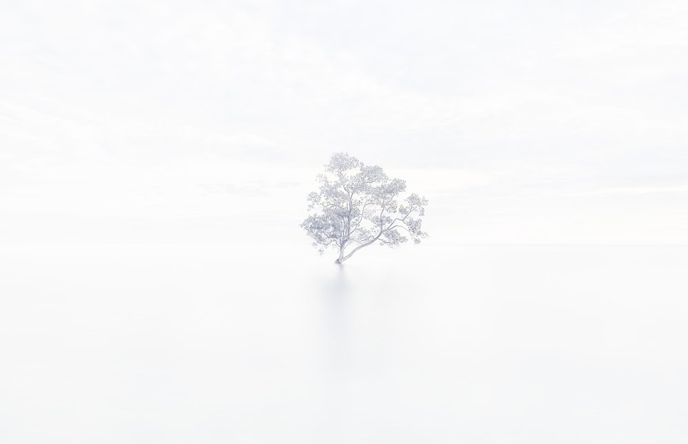 Minimalism