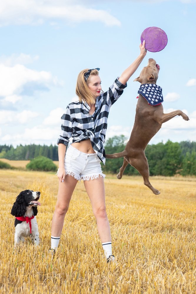 Фотография автора Юрий Корнеев