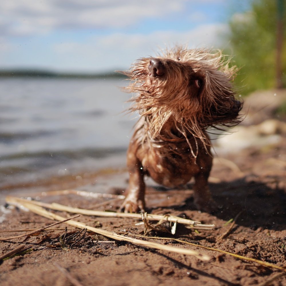 Photograph by Алина