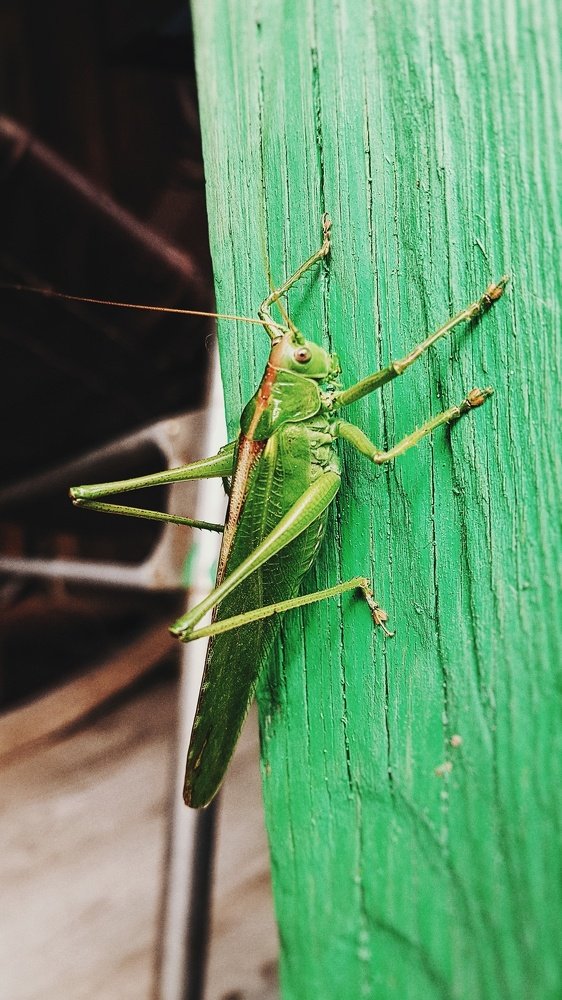 Photograph by Евгений Журавлёв