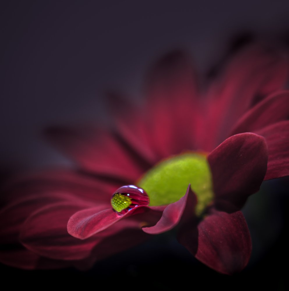 Фотография автора Константин Яковлев