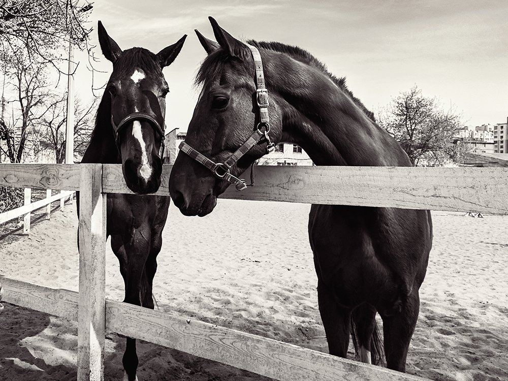 Photograph by Анна Шац