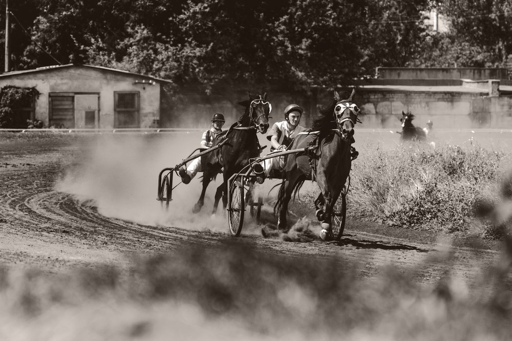 Photograph by Анна Шац