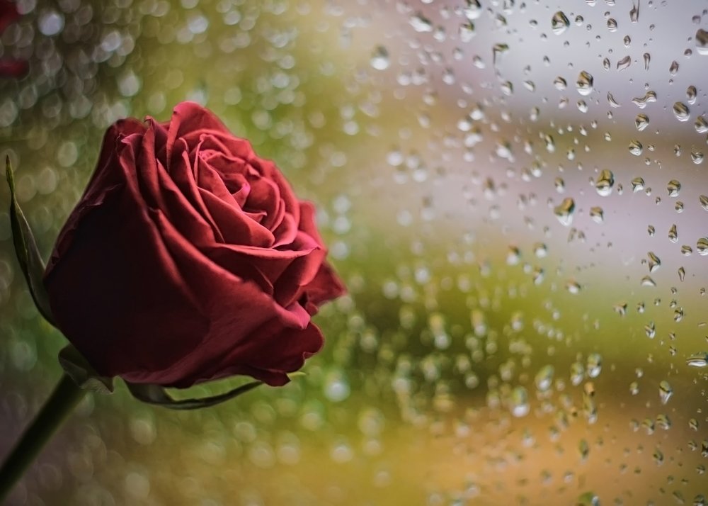 Фотография автора Andrei Hrabun