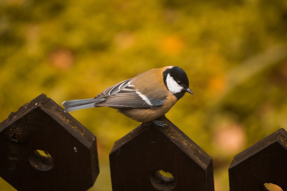 Photograph by Ольга Быкова
