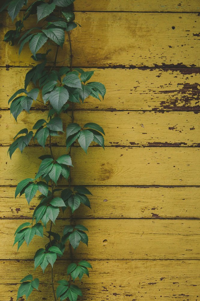 Photograph by Ольга Быкова