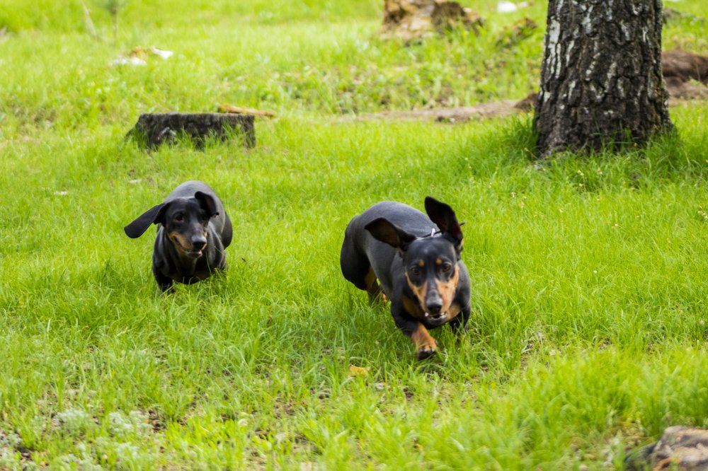 Photograph by Дмитрий Тимин