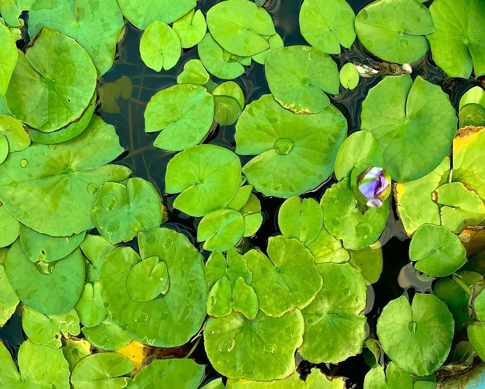 Photograph by Dineshprabu S