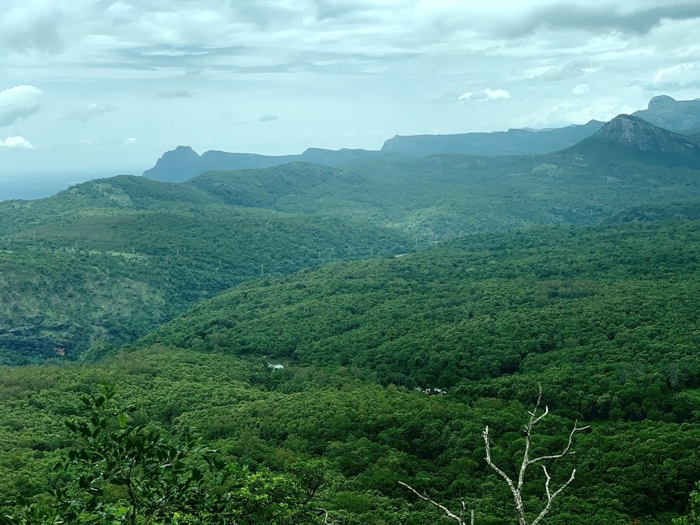 Photograph by Dineshprabu S