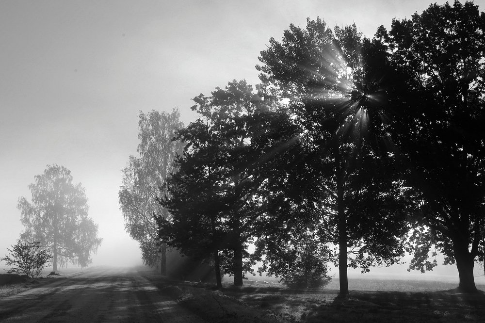 Photograph by Dzintra Zvagina