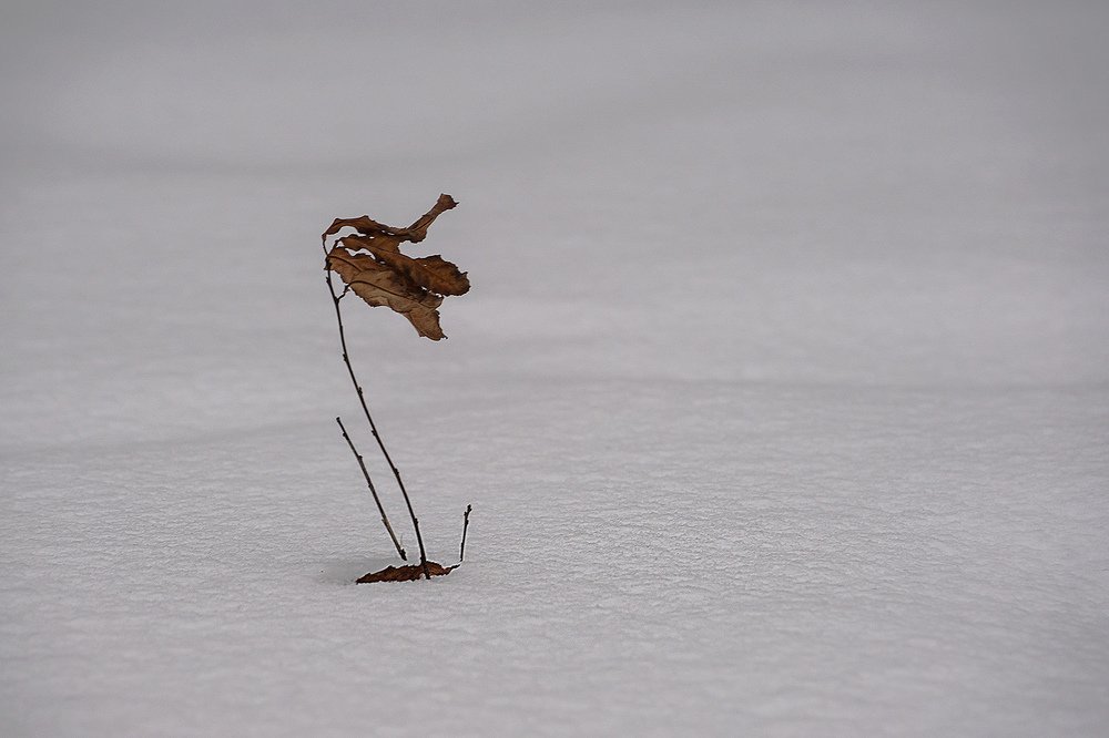 Photograph by Павел