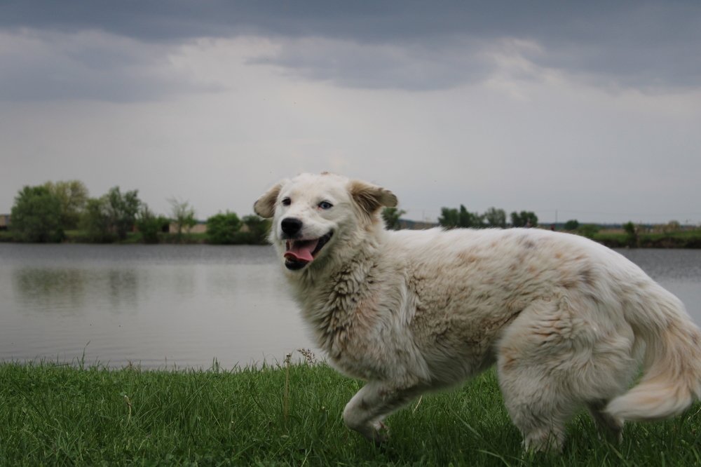 Photograph by Юлия Чурина