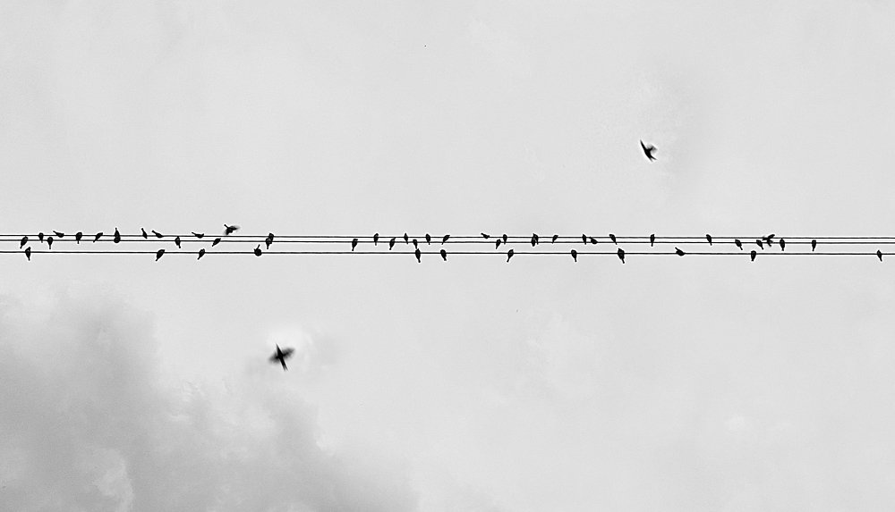 Photograph by Alireza Aliakbar