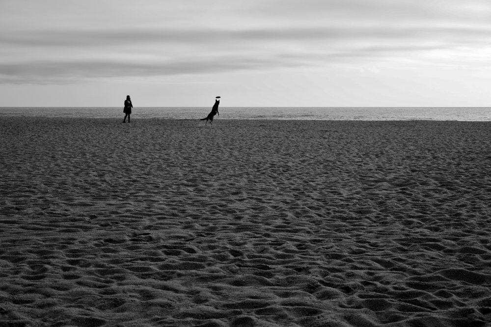 Photograph by carlos teixeira