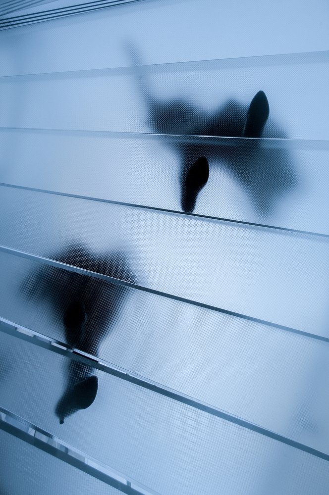 Photograph by Antoine Buttafoghi