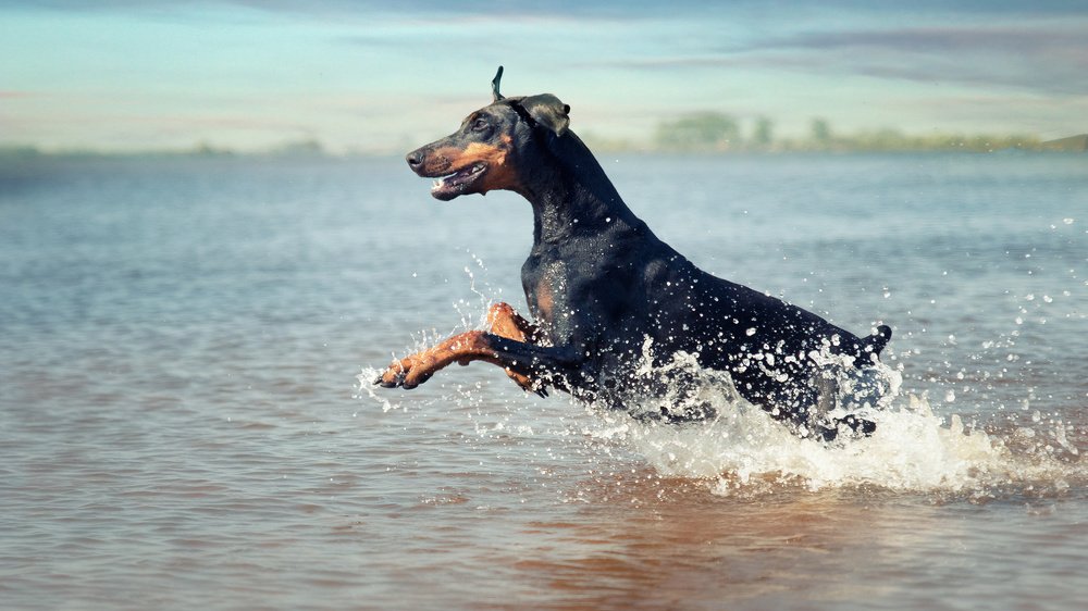 Photograph by Markus Bieck