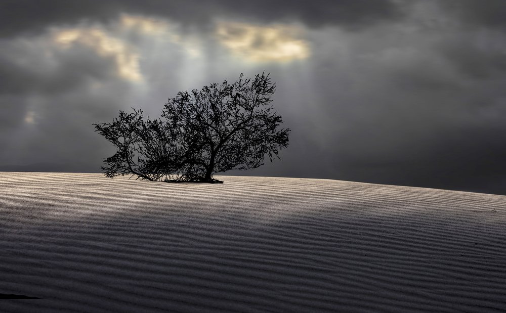 Photograph by Leonid Lan