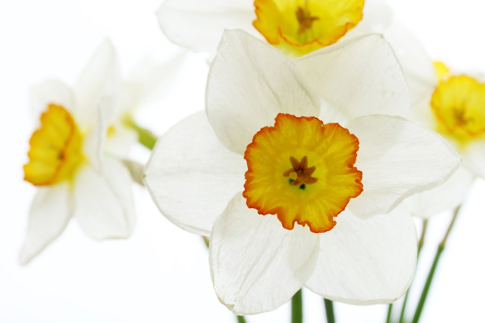 Photograph by Эльза Давлеева