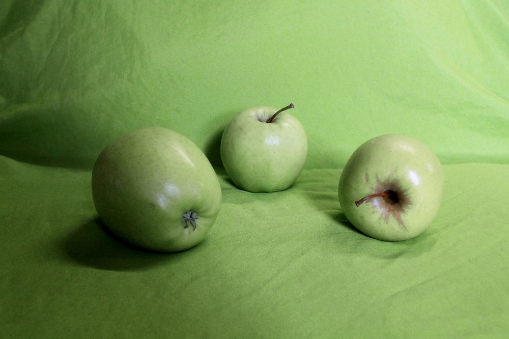 Photograph by Эльза Давлеева