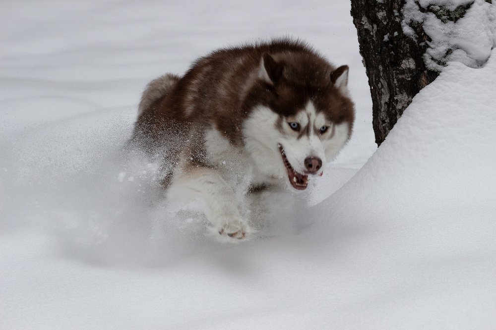 Photograph by Алексей Егорычев