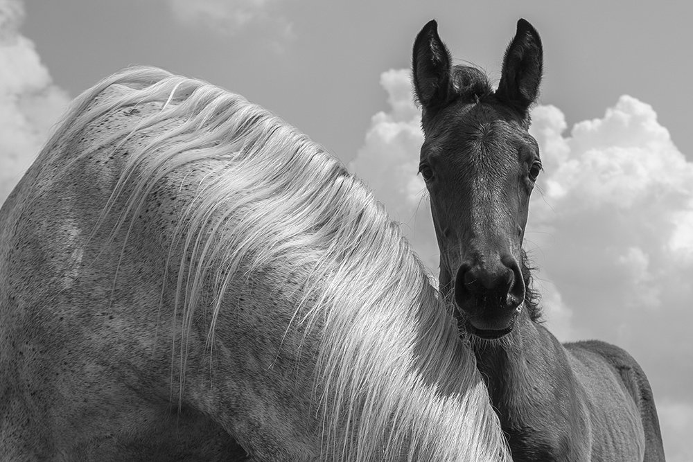 Photograph by Игорь Глазунов