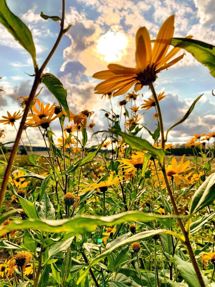 Photograph by Денис Лапшин