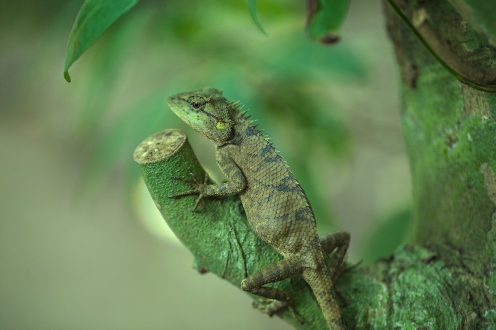 Фотография автора евгений митрошин