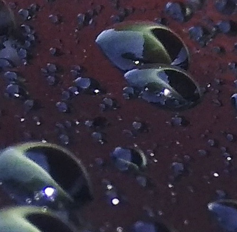 Photograph by Максим Сурнин