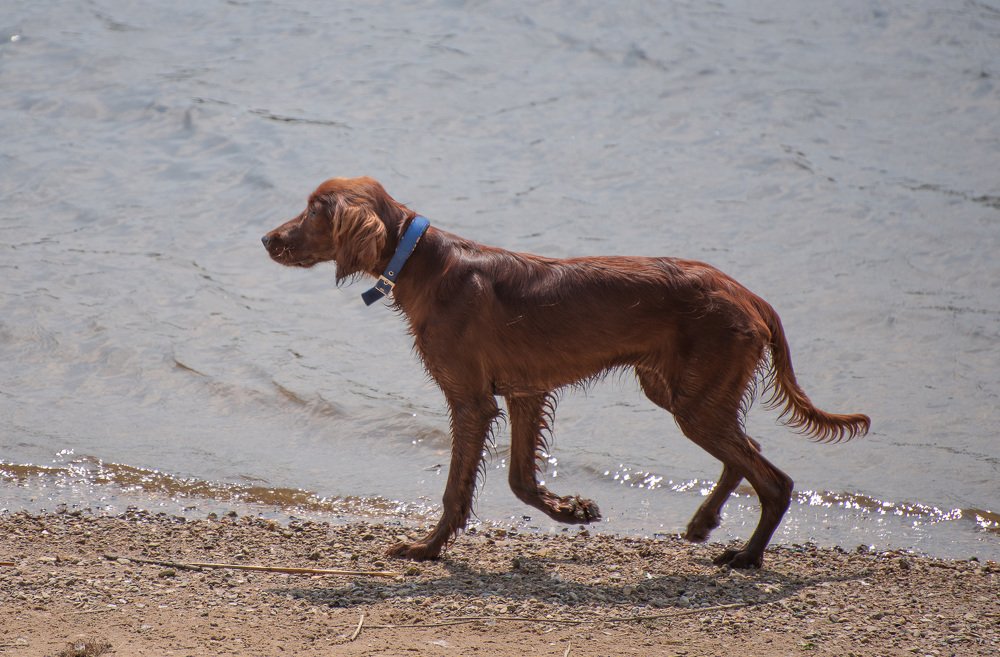 Фотография автора Геннадий Коробов