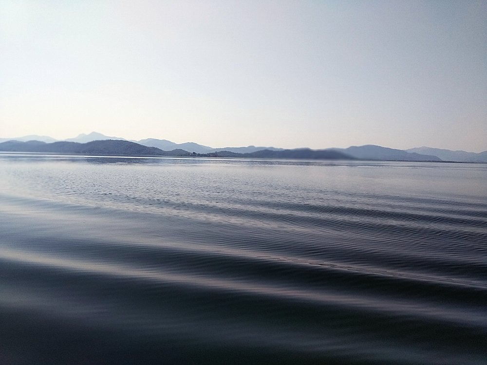 Фотография автора Georgii Eletskikh