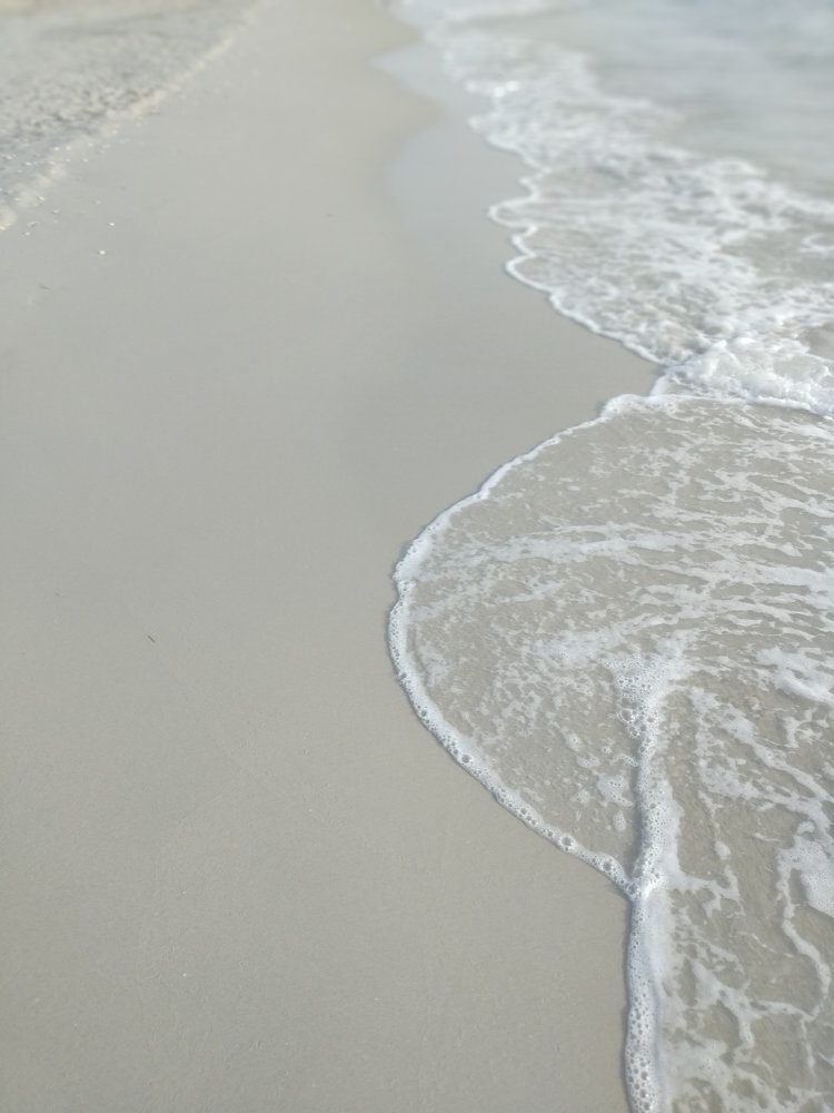 Фотография автора Georgii Eletskikh