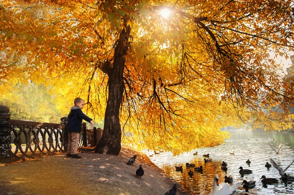 Photograph by Ольга Мищенко