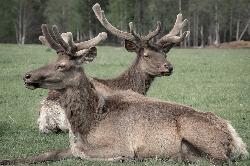 Photograph by Алексей Егорычев