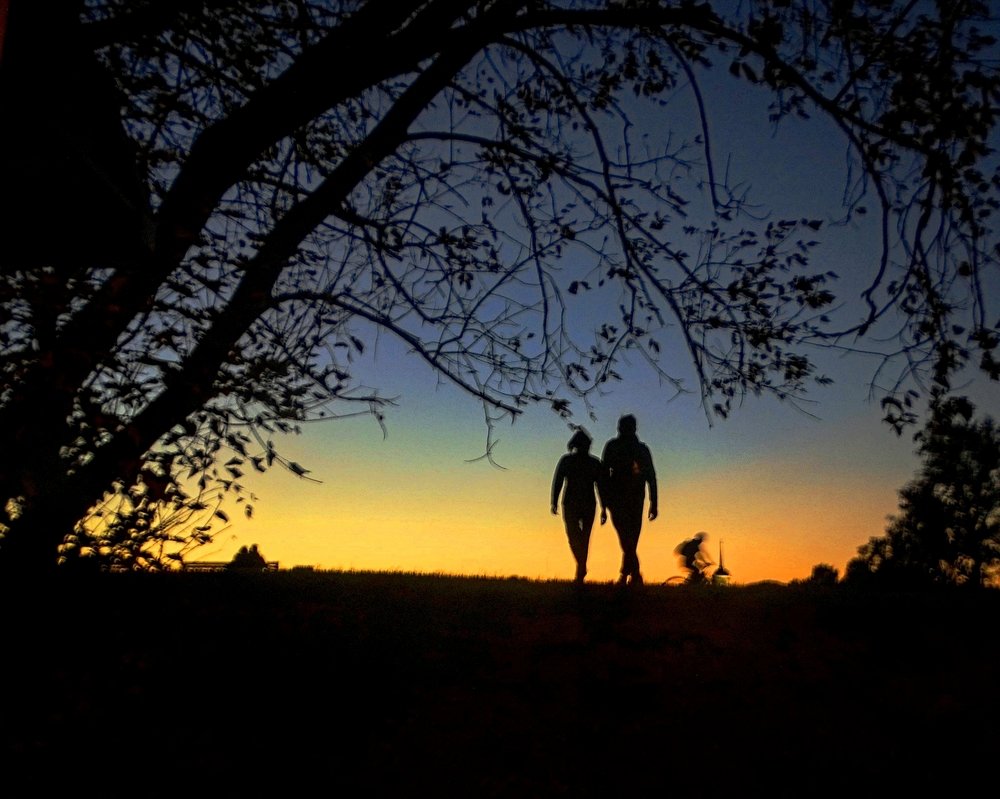 Из света к сумеркам