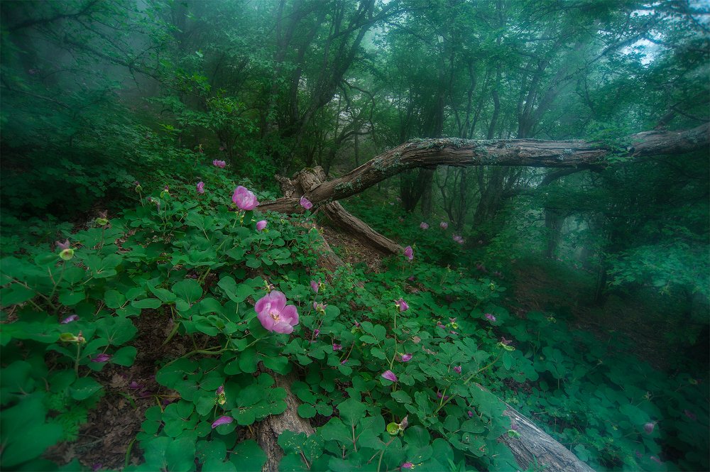 Photograph by Наташа Фирсова