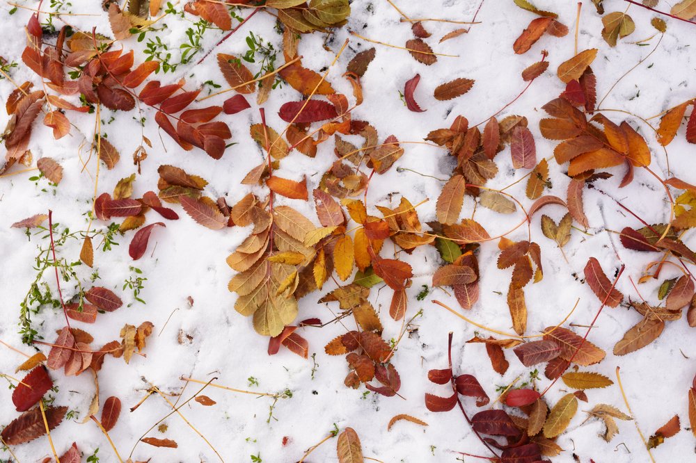 Photograph by Сергей