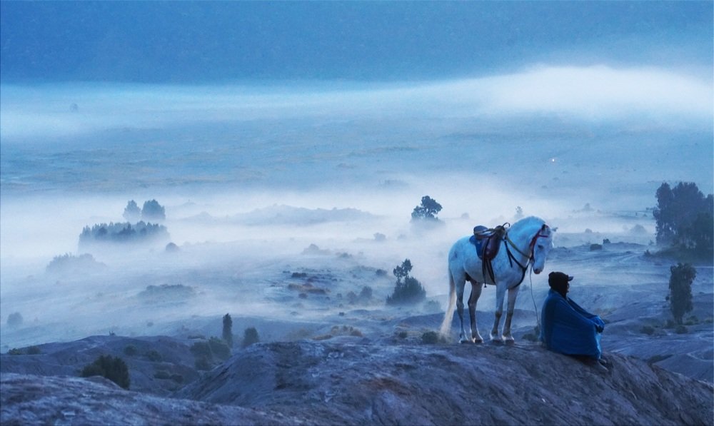 Photograph by Catherine Chong