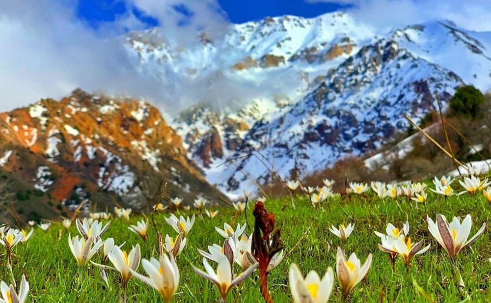 Photograph by Yuriy Kim