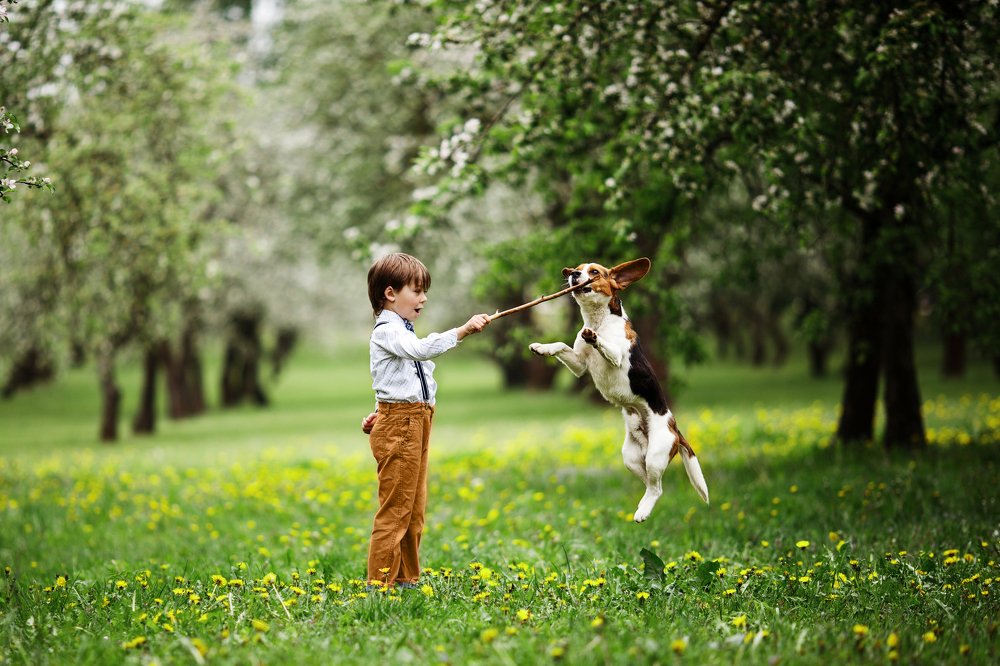 Фотография автора Гудкова Светлана
