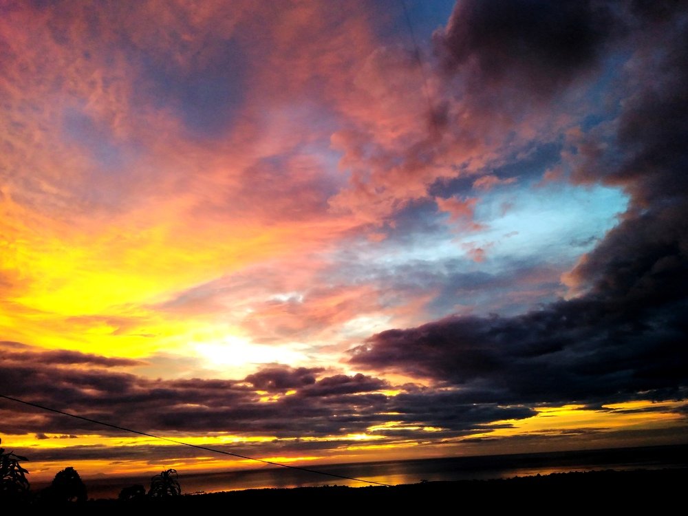 Photo #3641572