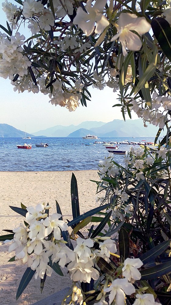 Морские города