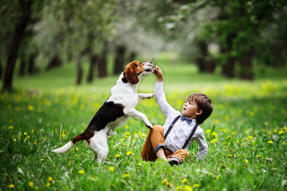Фотография автора Гудкова Светлана